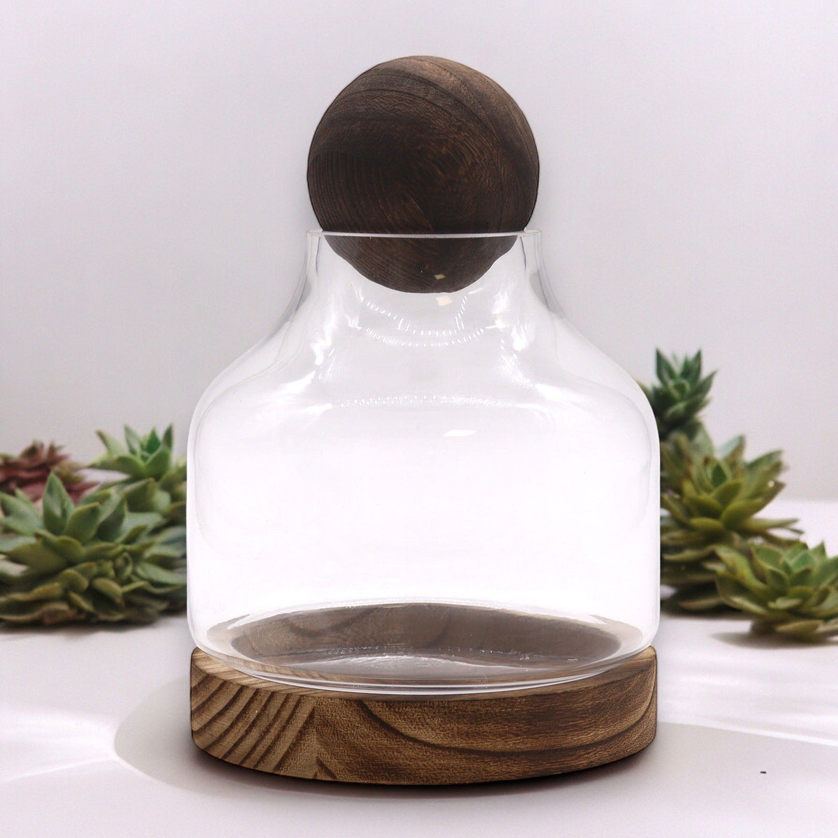 Glass terrarium with ball top and dark wood base