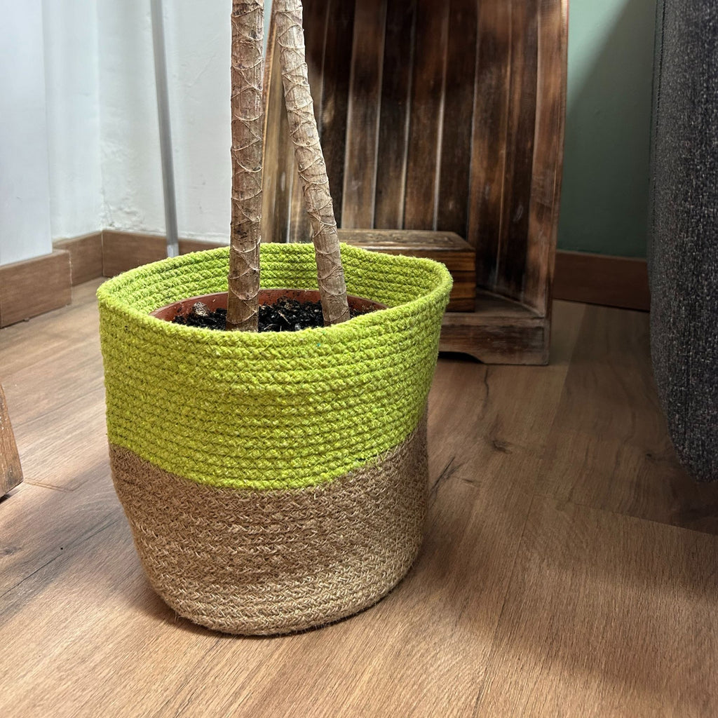 Pistachio cotton rope storage baskets, set of three